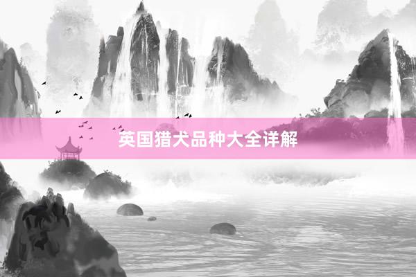 英国猎犬品种大全详解