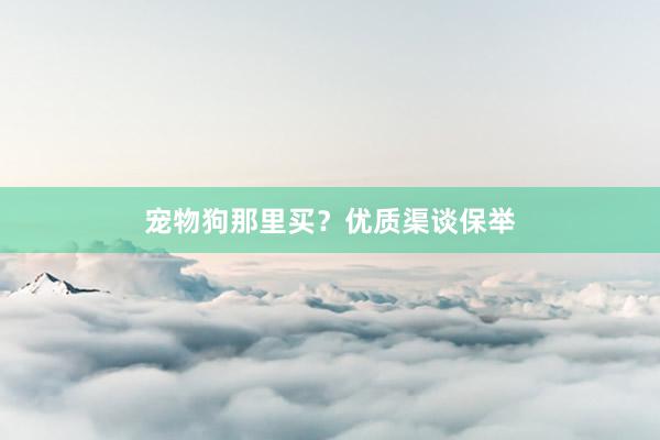 宠物狗那里买？优质渠谈保举